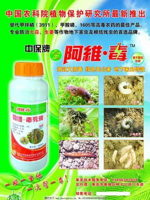 中保阿维毒 科学防治害虫的专业服务方案