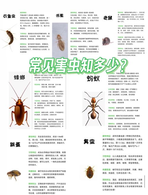 家中常见害虫防治指南 衣鱼与书虱的识别、预防与专业服务